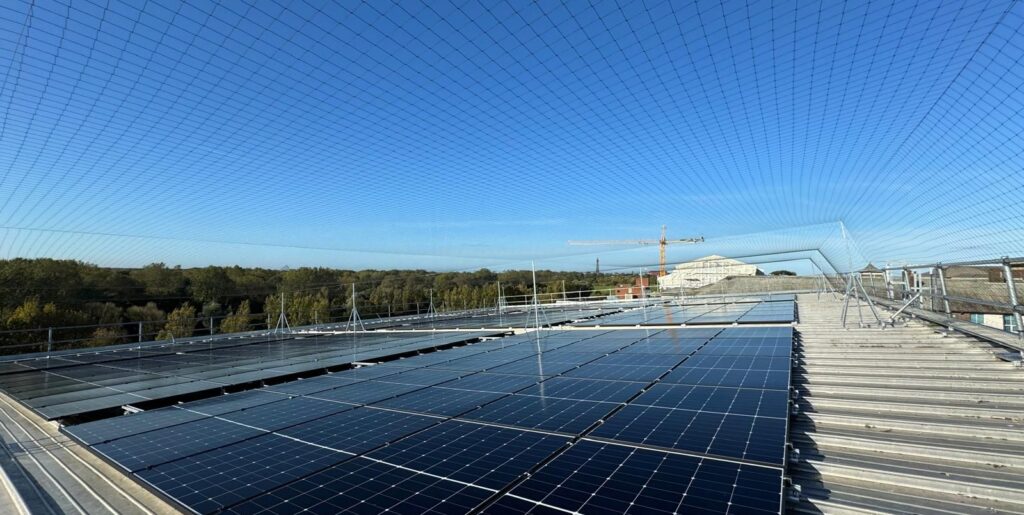 Bird Netting in {LocationsAB(Location)} by Pest Solutions